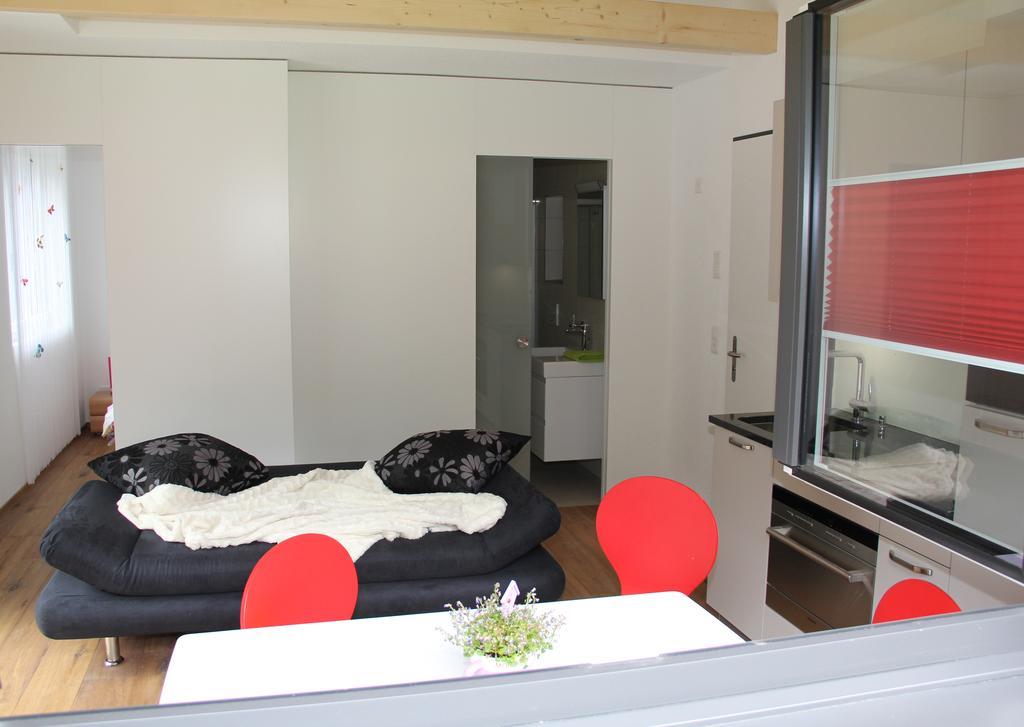 Haus Steiner Apartment Goschenen Bagian luar foto